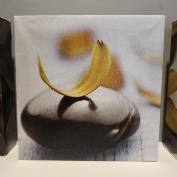 Set of 3 Floral Canvases, Yellow, Small - Picture 4 of 8